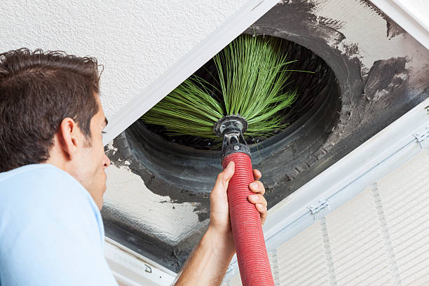 Air Duct Mold Removal in Dunn Loring, VA
